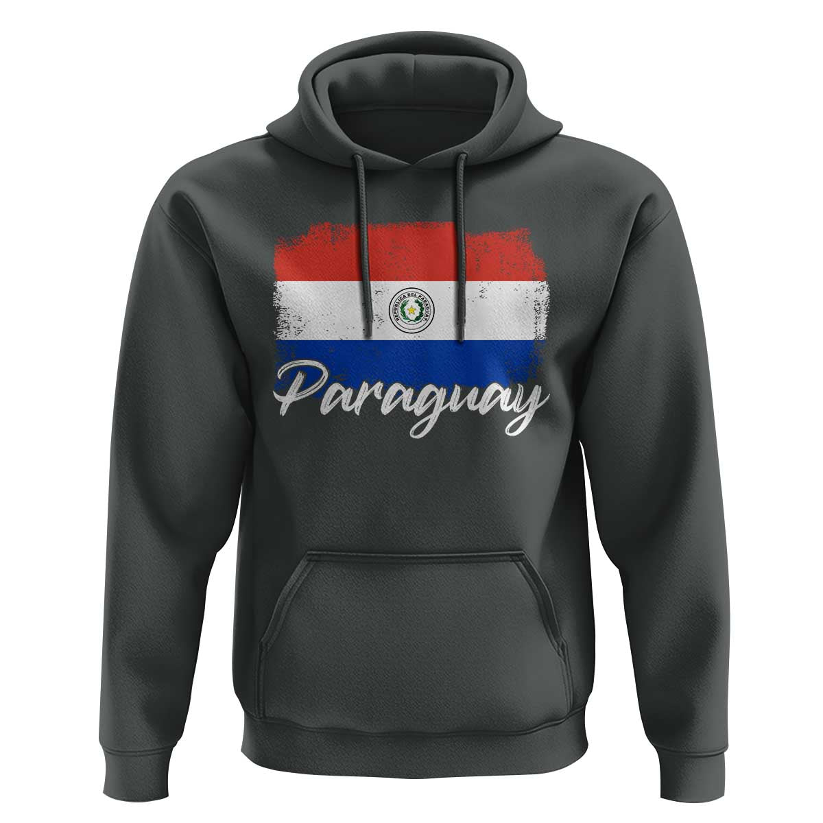 Vintage Paraguay Flag Paraguaya Heritage Pride Roots Hoodie