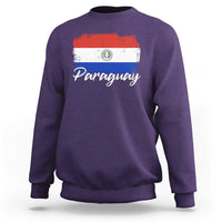 Vintage Paraguay Flag Paraguaya Heritage Pride Roots Sweatshirt