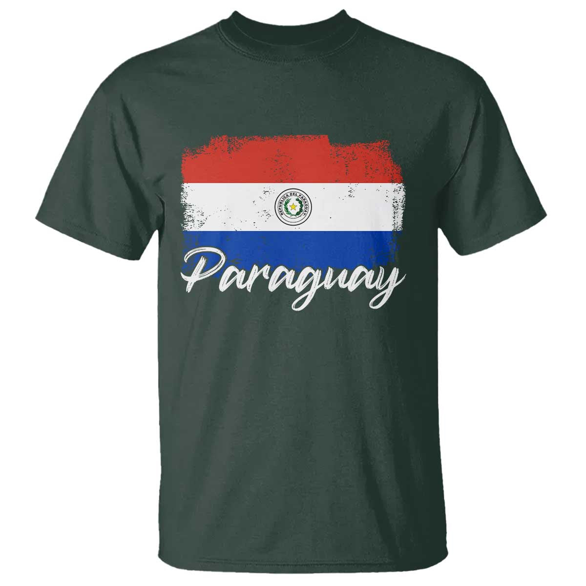 Vintage Paraguay Flag Paraguaya Heritage Pride Roots T Shirt