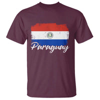 Vintage Paraguay Flag Paraguaya Heritage Pride Roots T Shirt
