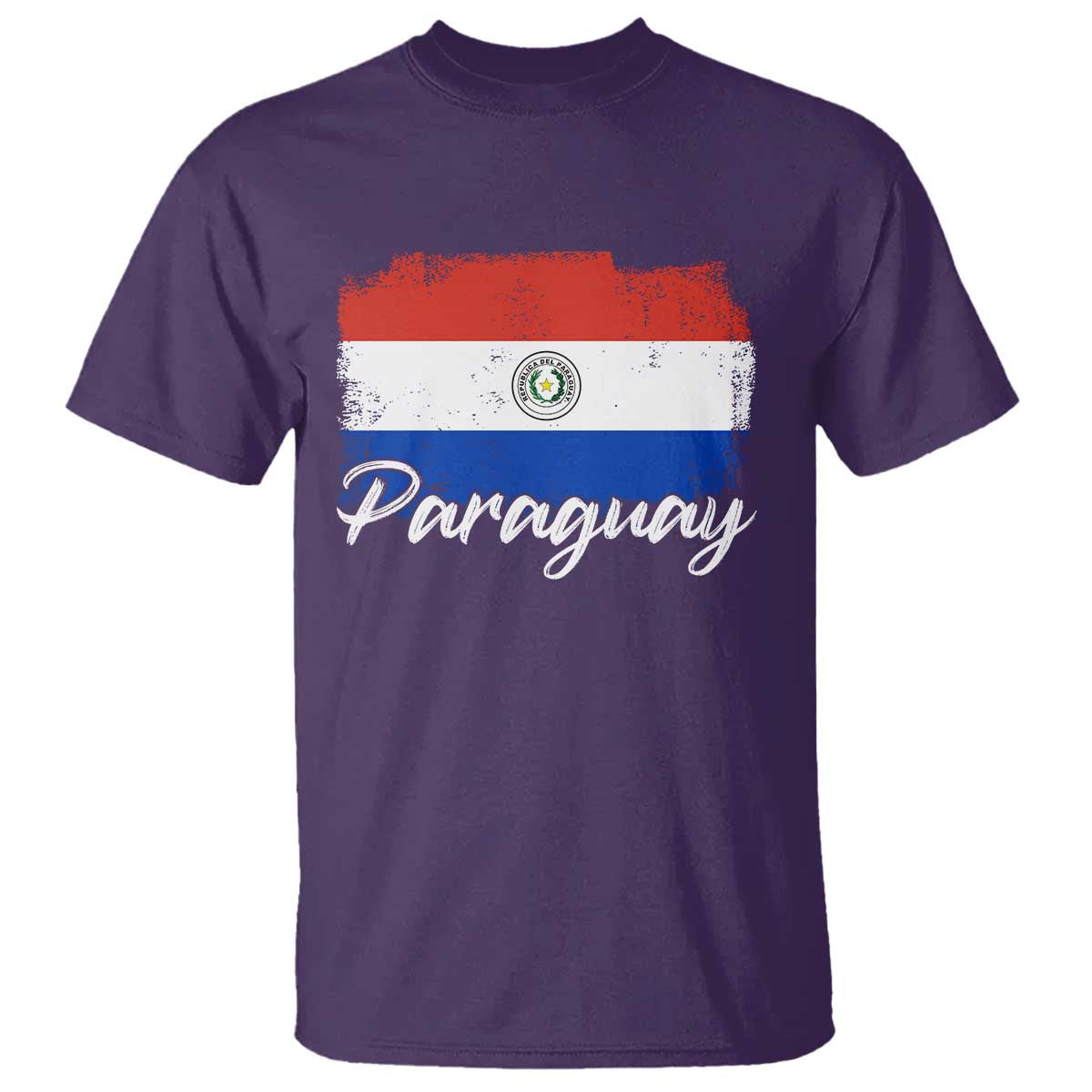 Vintage Paraguay Flag Paraguaya Heritage Pride Roots T Shirt