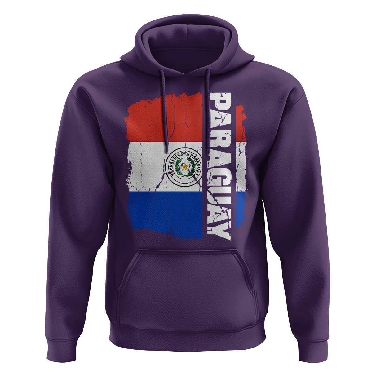Paraguay Proud Roots Vintage Paraguaya Flag Heritage Pride Hoodie
