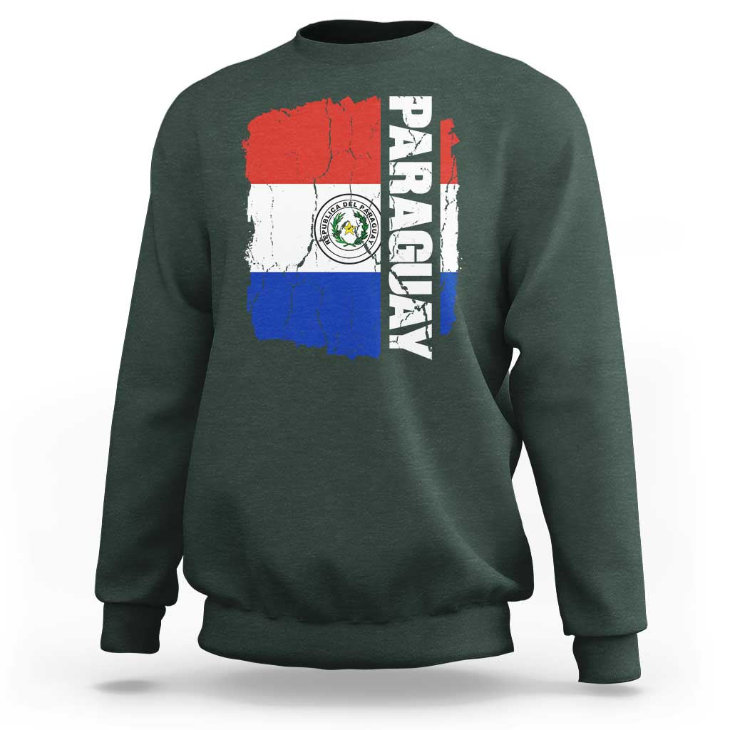 Paraguay Proud Roots Vintage Paraguaya Flag Heritage Pride Sweatshirt