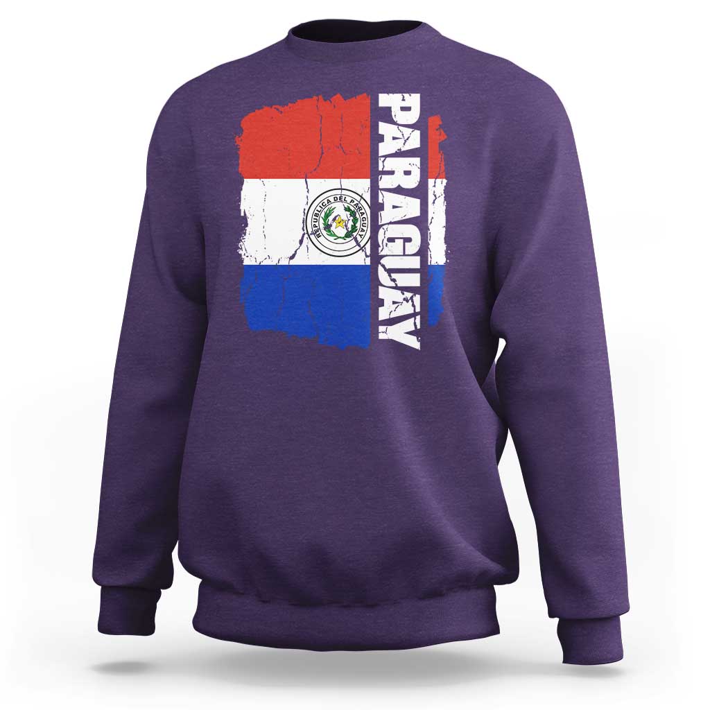 Paraguay Proud Roots Vintage Paraguaya Flag Heritage Pride Sweatshirt