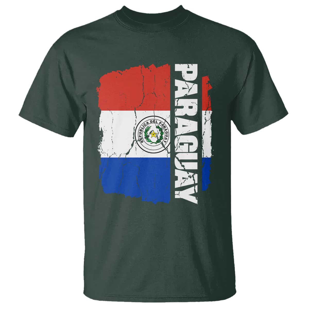Paraguay Proud Roots Vintage Paraguaya Flag Heritage Pride T Shirt