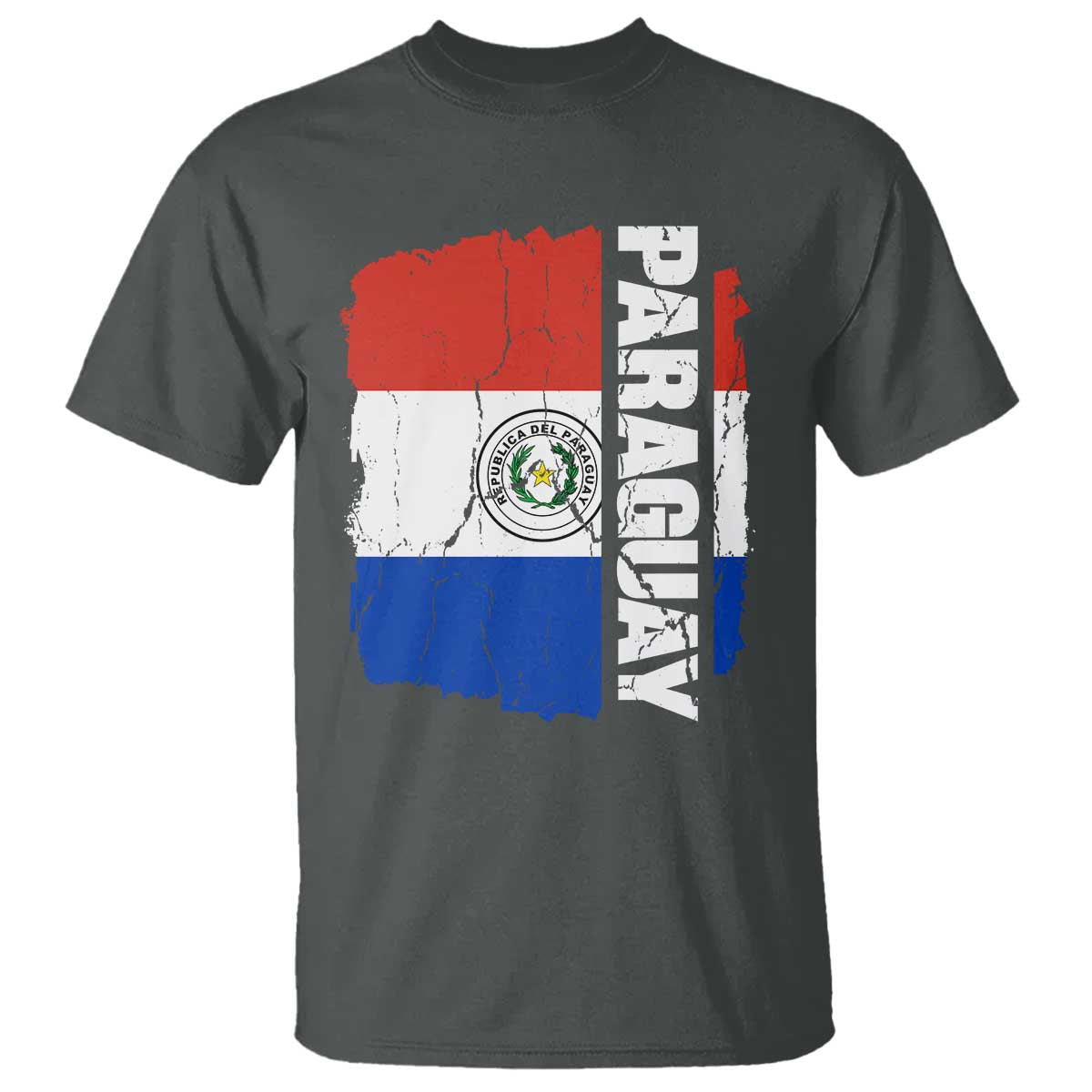 Paraguay Proud Roots Vintage Paraguaya Flag Heritage Pride T Shirt