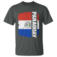 Paraguay Proud Roots Vintage Paraguaya Flag Heritage Pride T Shirt
