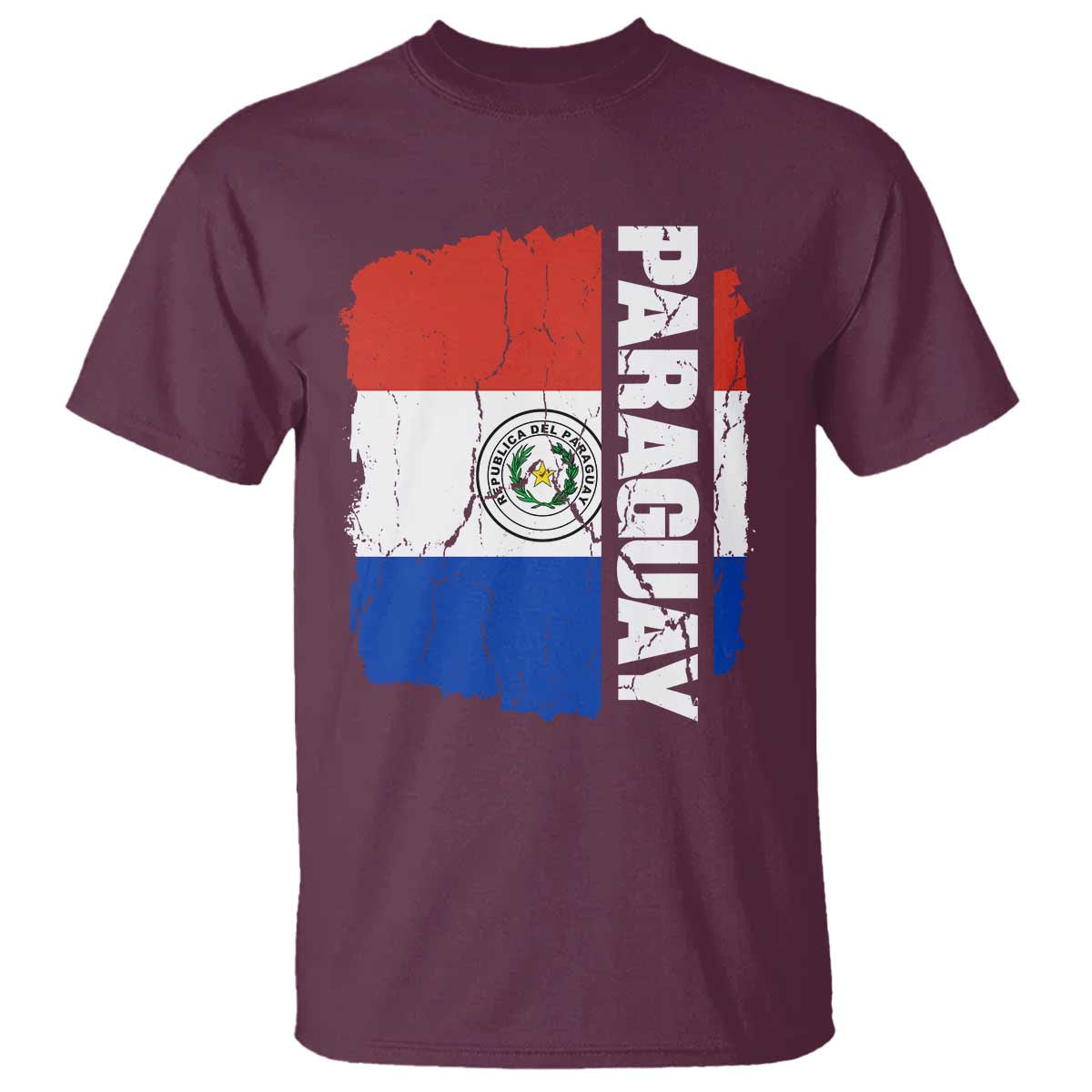 Paraguay Proud Roots Vintage Paraguaya Flag Heritage Pride T Shirt