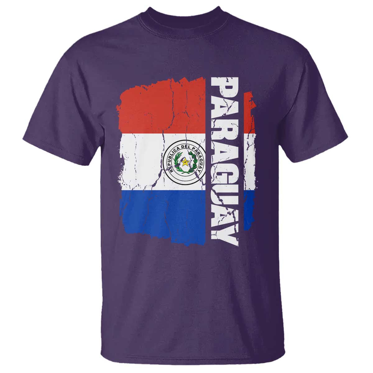 Paraguay Proud Roots Vintage Paraguaya Flag Heritage Pride T Shirt