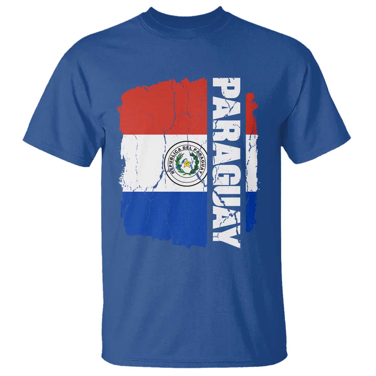 Paraguay Proud Roots Vintage Paraguaya Flag Heritage Pride T Shirt