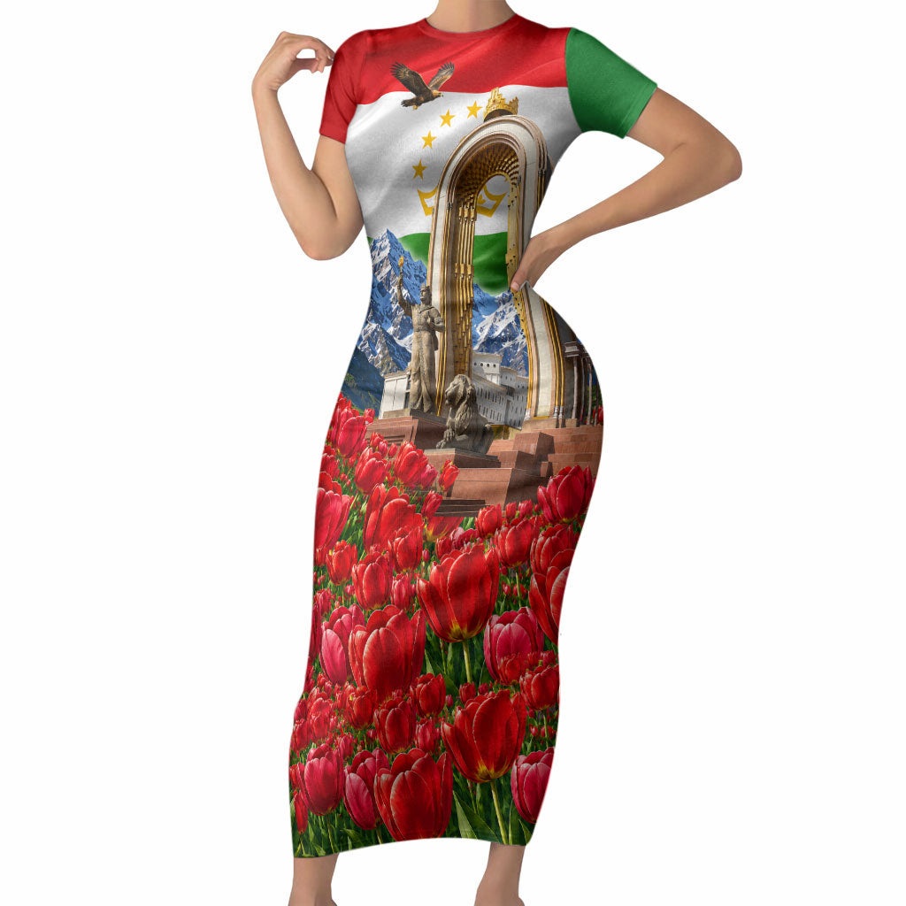 Tajikistan National Pride Short Sleeve Bodycon Dress Ismoil Somoni Monument Marco Polo Sheep Flag