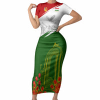 Tajikistan Independence Day Short Sleeve Bodycon Dress Ismoil Somoni Monument Flag Map Red Tulips