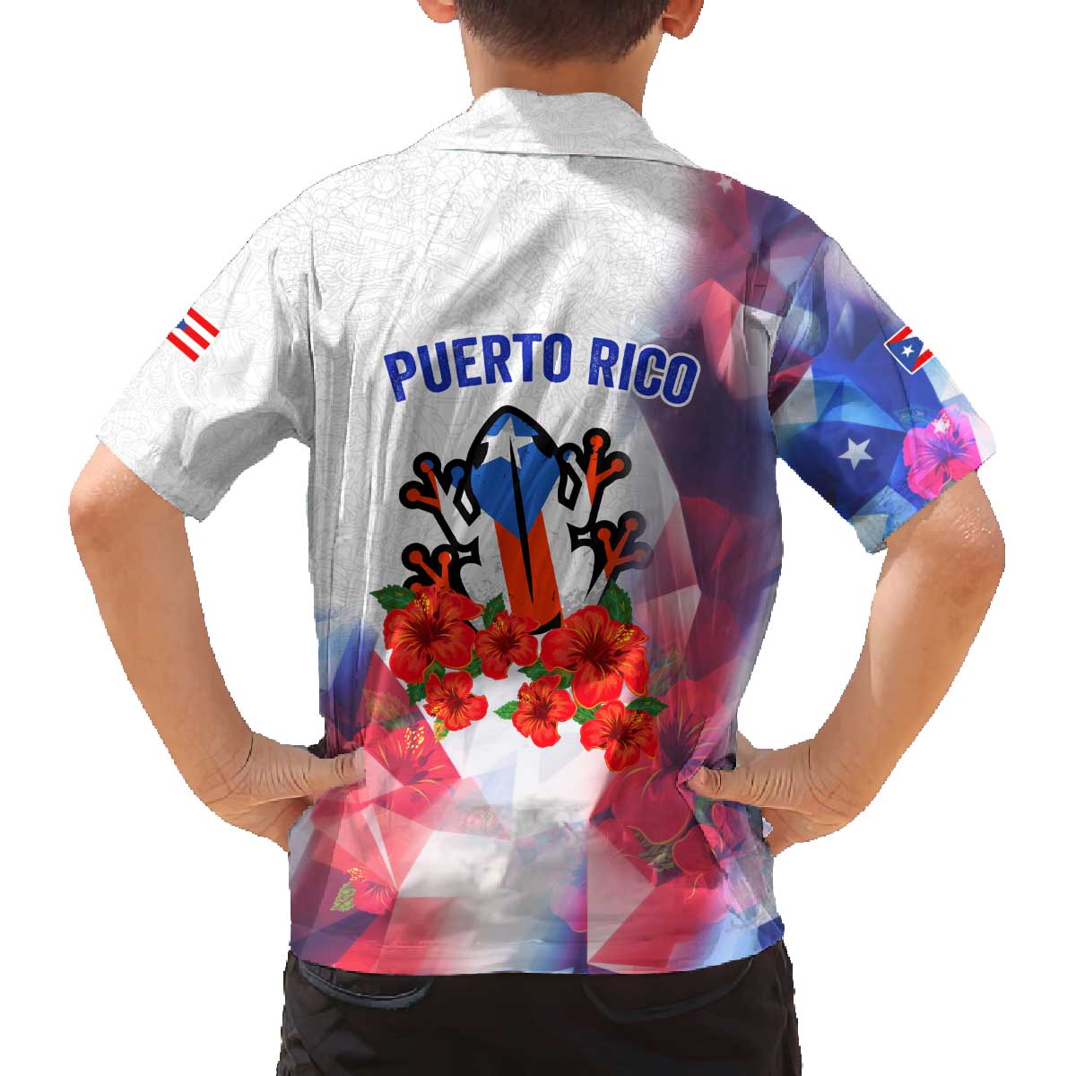 Puerto Rico Family Matching Off The Shoulder Long Sleeve Dress and Hawaiian Shirt with Coqui Frog, Hibiscus Flowers, and Flag Landmark Design - Wonder Print Shop