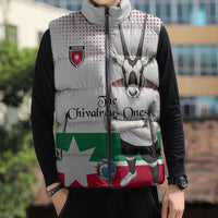 Personalized Jordan Football Sleeveless Puffer Jacket The Chivalrous Ones Oryx Mascot Patriotic Halftone Dot
