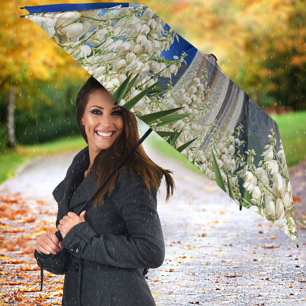 El Salvador Torogoz Bird Umbrella Divine Savior Monument Volcano Flor De Izote Art