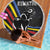 Eswatini Elephant Beach Blanket with Cosmic Background and Swazi Flag Colors