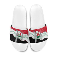 Iraq 14 July Revolution 1958 Slide Sandals Abdul Karim Qasim Broken Chains Rising Fists