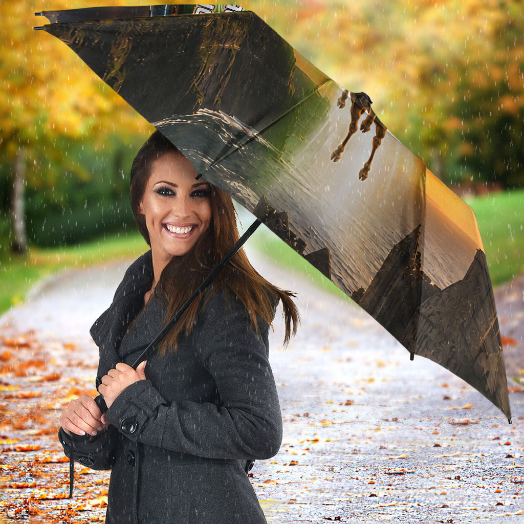 Ireland UFO Umbrella Irish Landscape Answer The Call