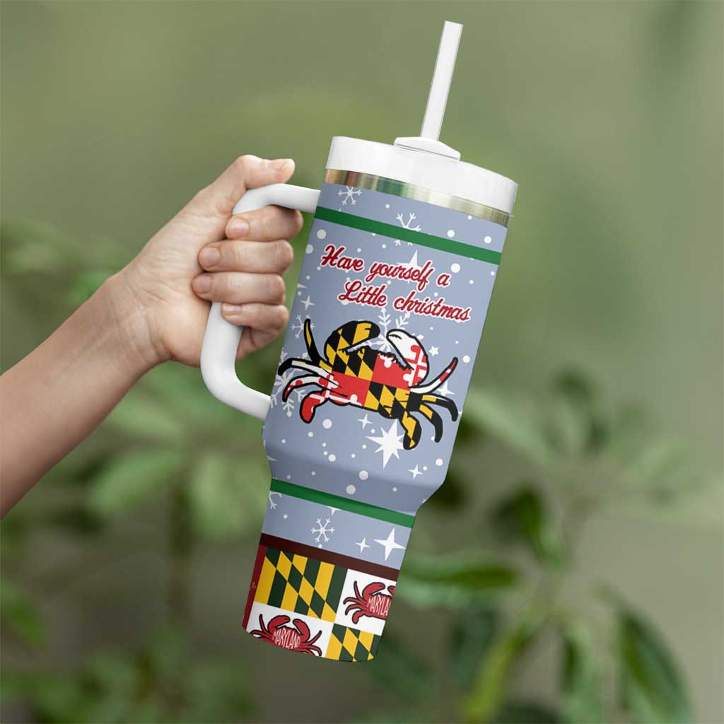 Maryland Symbols Christmas Tumbler With Handle Xmas Holiday Patterns - Wonder Print Shop