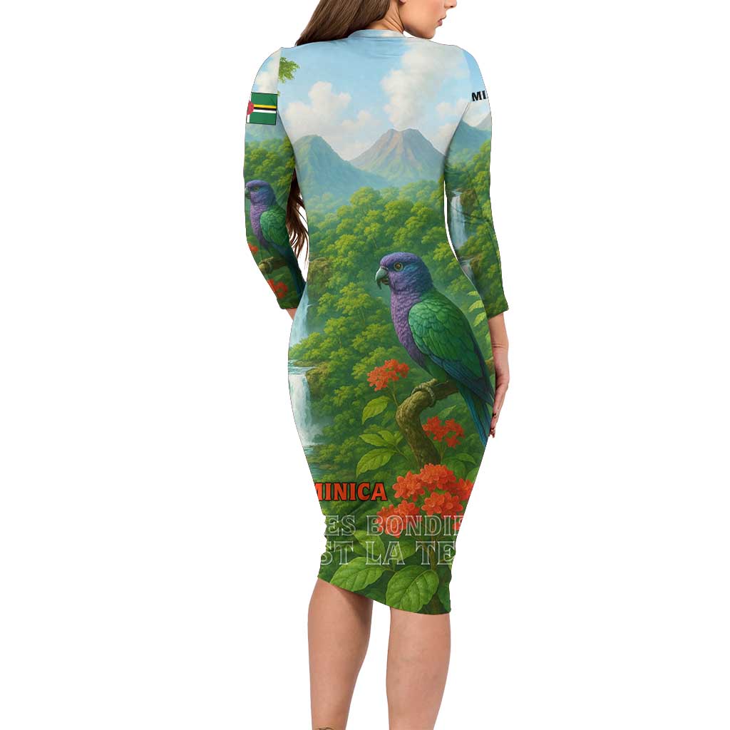 Dominica Nature Family Matching Long Sleeve Bodycon Dress and Hawaiian Shirt Sisserou Parrot and Waterfall Island Map with National Flag Design - Wonder Print Shop