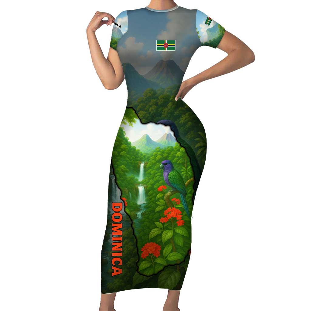 Dominica Nature Family Matching Short Sleeve Bodycon Dress and Hawaiian Shirt Sisserou Parrot and Waterfall Island Map with National Flag Design - Wonder Print Shop