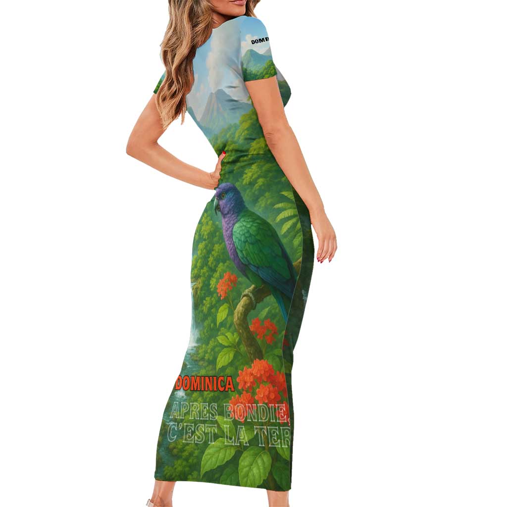Dominica Nature Family Matching Short Sleeve Bodycon Dress and Hawaiian Shirt Sisserou Parrot and Waterfall Island Map with National Flag Design - Wonder Print Shop