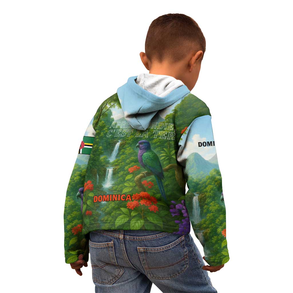 Dominica Nature Kid Hoodie Sisserou Parrot and Waterfall Island Map with National Flag Design - Wonder Print Shop