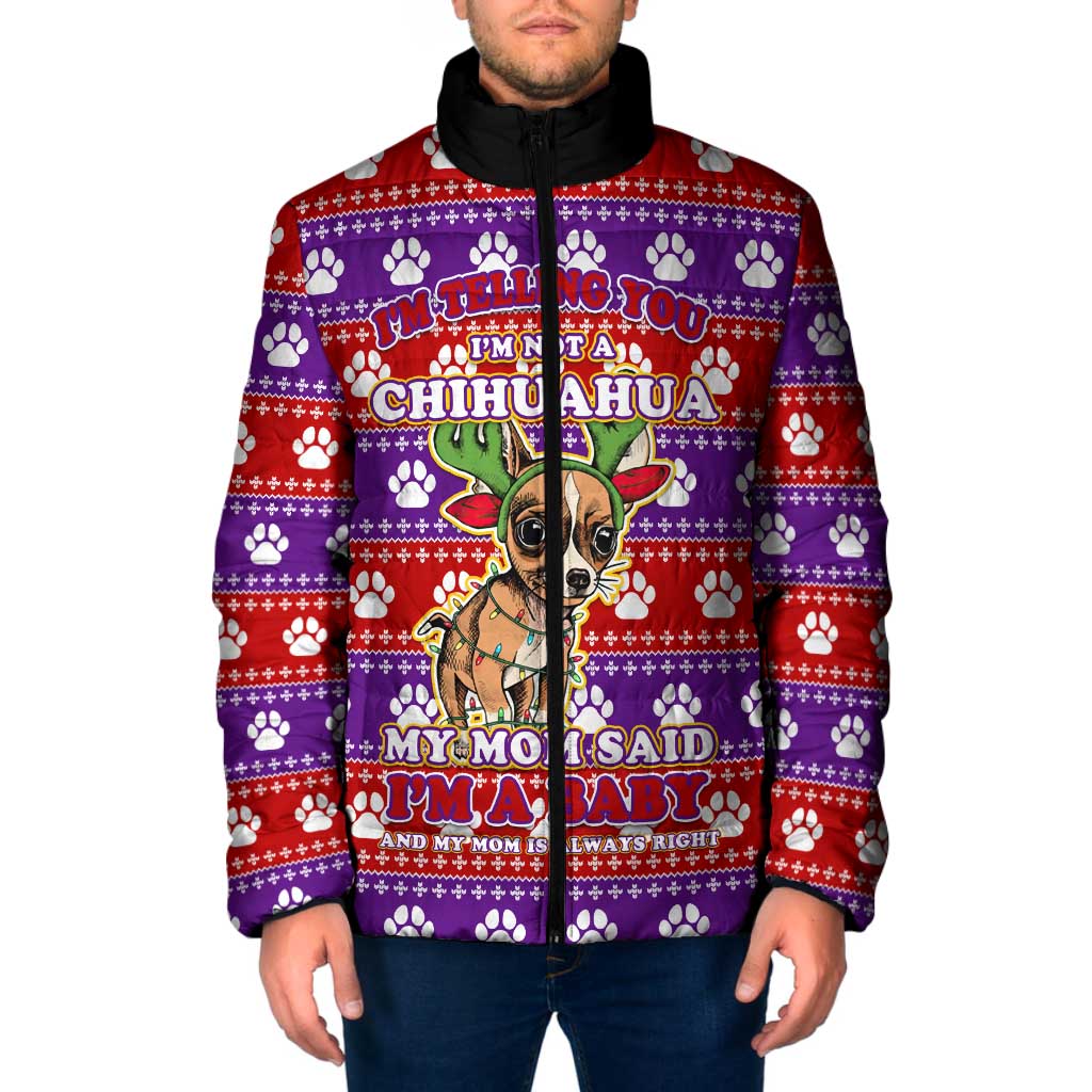 Chihuahua Christmas Padded Jacket with I’m Not a Chihuahua I’m a Baby Quote and Red Purple Christmas Pattern - Wonder Print Shop