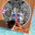 Icelandic Coat of Arms Beach Blanket Viking Knotwork and National Flag Design
