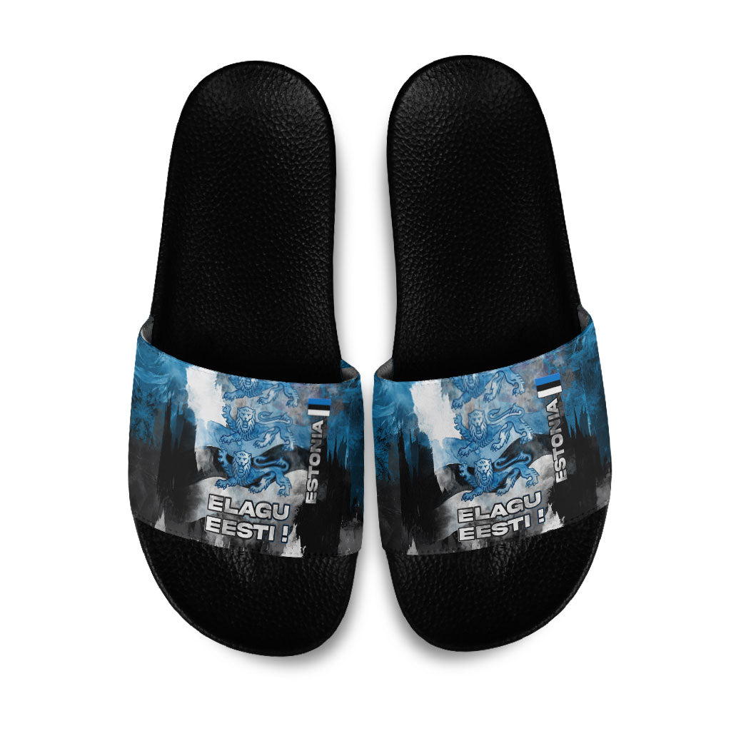Estonia Elagu Eesti Lions Slide Sandals Watercolor Splash Flag Heraldic
