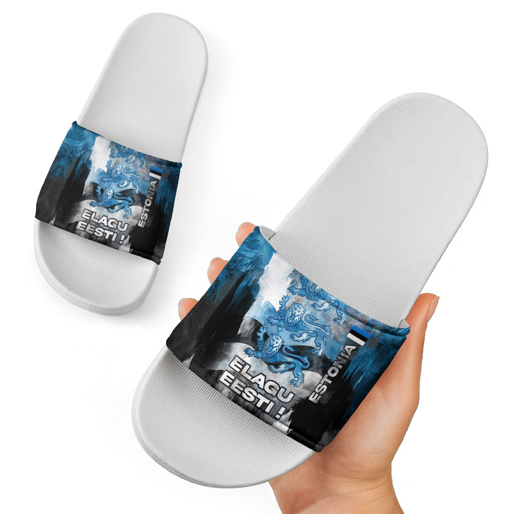Estonia Elagu Eesti Lions Slide Sandals Watercolor Splash Flag Heraldic