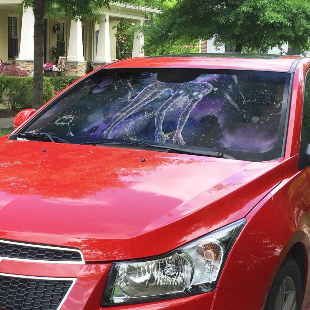 Nut Egyptian Auto Sun Shade She Who Bore the Gods Galactic Vessel Cosmic Goddess Star Map
