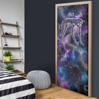 Nut Egyptian Door Cover She Who Bore the Gods Galactic Vessel Cosmic Goddess Star Map