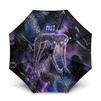 Nut Egyptian Umbrella She Who Bore the Gods Galactic Vessel Cosmic Goddess Star Map