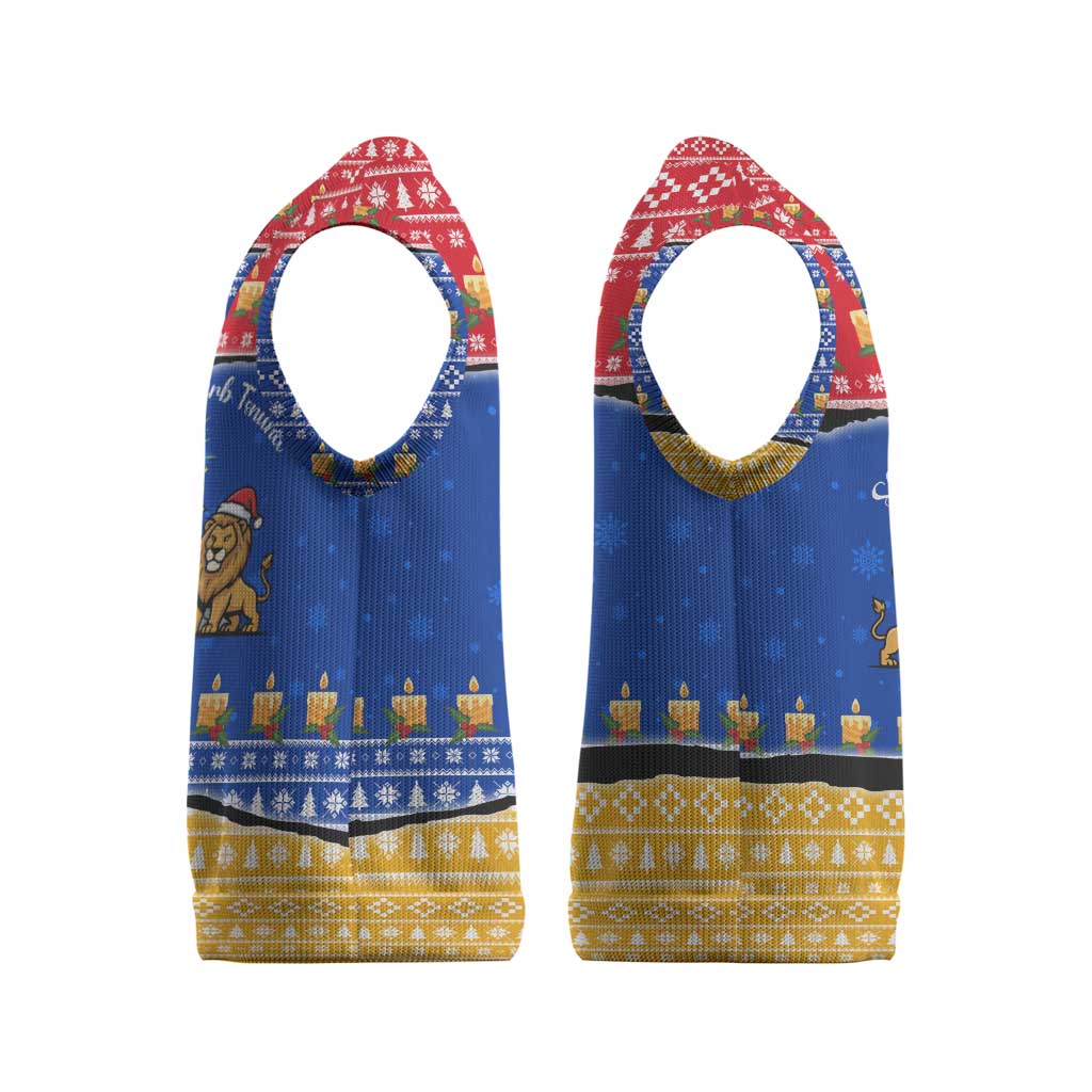 Armenia Christmas Knitted V-Neck Vest with Shnorhavor Surb Tsnund Lions Flag Colors and Coat of Arms - Wonder Print Shop