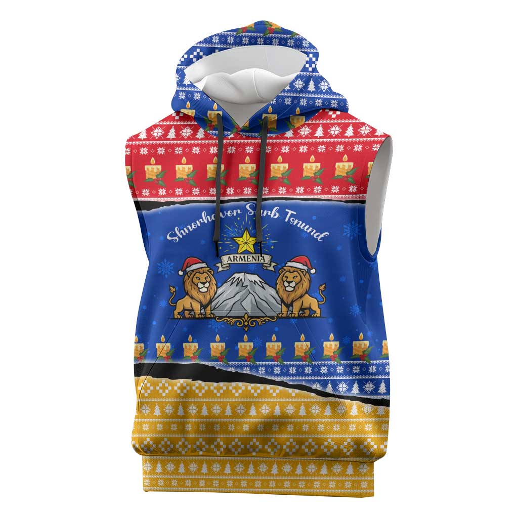 Armenia Christmas Sleeveless Hoodie with Shnorhavor Surb Tsnund Lions Flag Colors and Coat of Arms - Wonder Print Shop