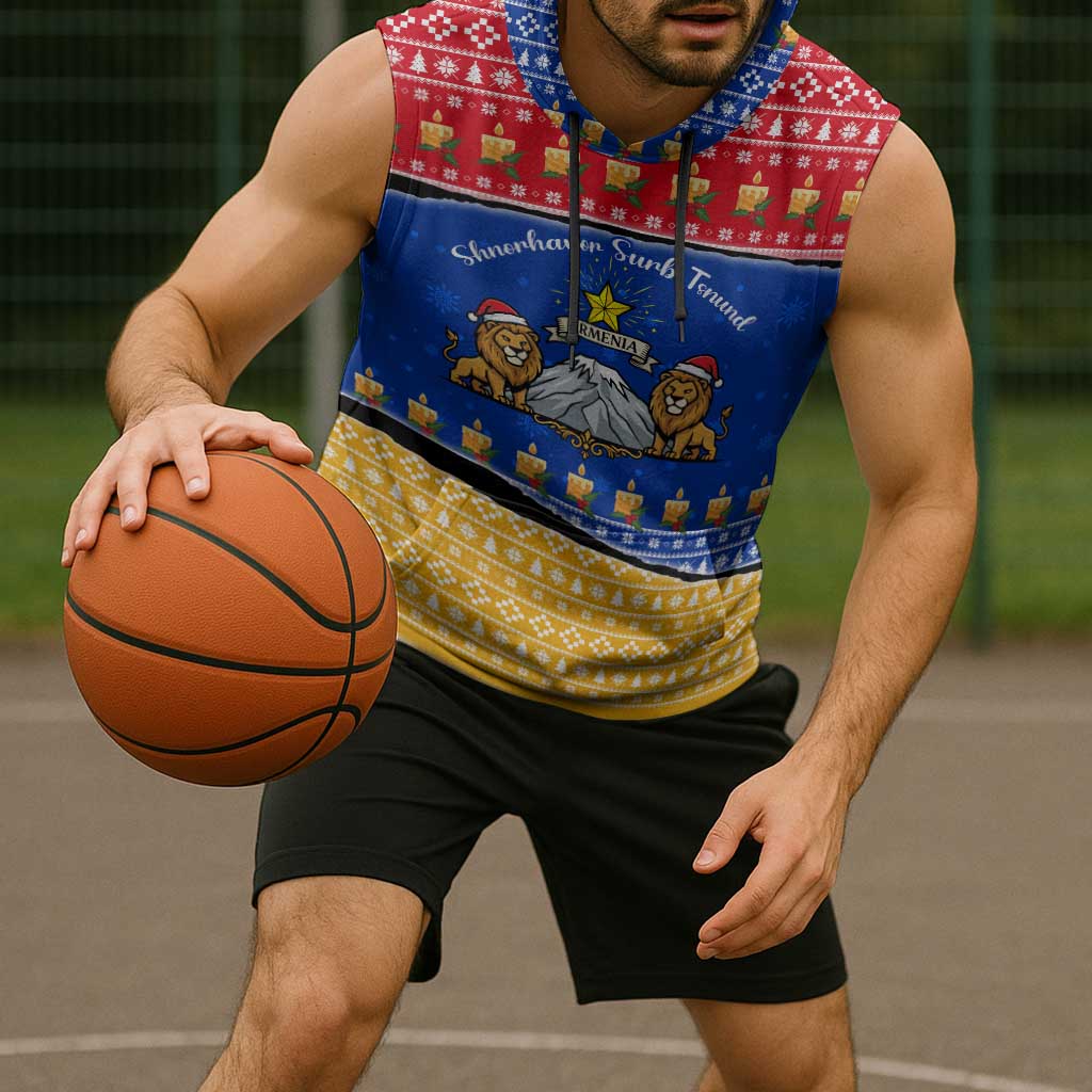 Armenia Christmas Sleeveless Hoodie with Shnorhavor Surb Tsnund Lions Flag Colors and Coat of Arms - Wonder Print Shop
