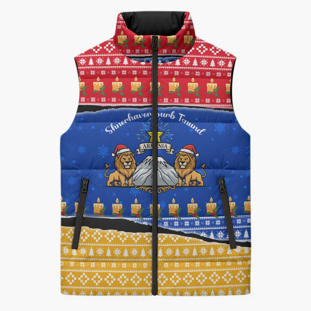 Armenia Christmas Sleeveless Puffer Jacket with Shnorhavor Surb Tsnund Lions Flag Colors and Coat of Arms - Wonder Print Shop