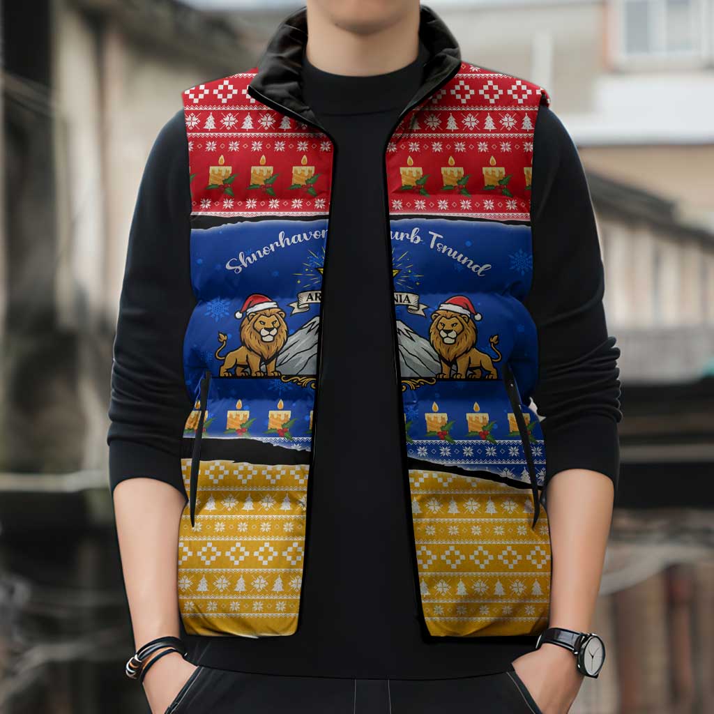 Armenia Christmas Sleeveless Puffer Jacket with Shnorhavor Surb Tsnund Lions Flag Colors and Coat of Arms - Wonder Print Shop
