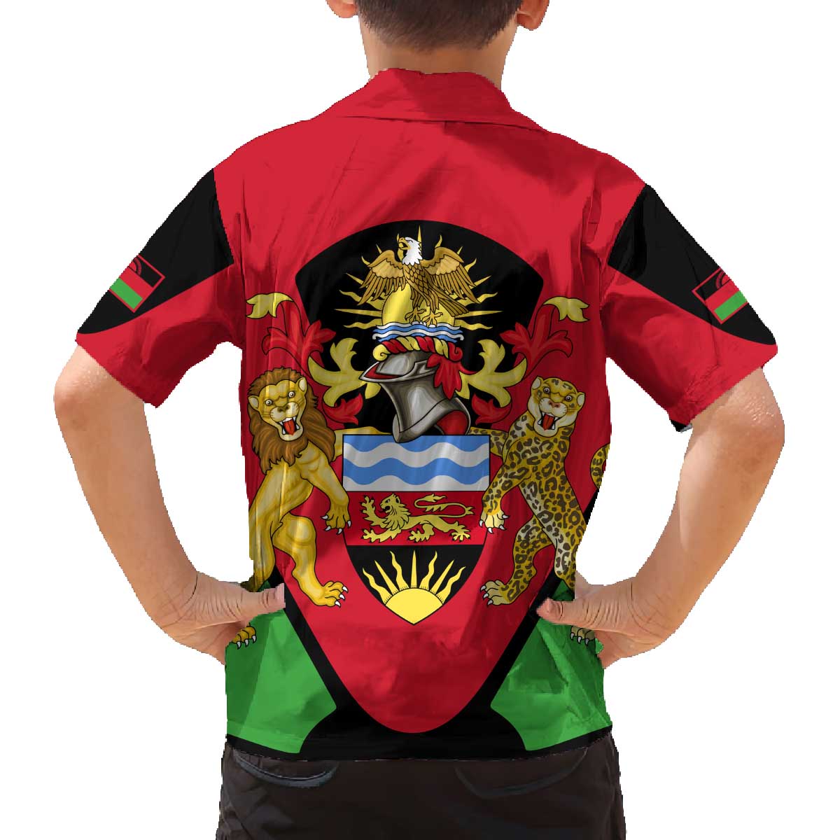 Malawi Flag Family Matching Off The Shoulder Long Sleeve Dress and Hawaiian Shirt Colors Blended with National Emblem - Symbolic Design