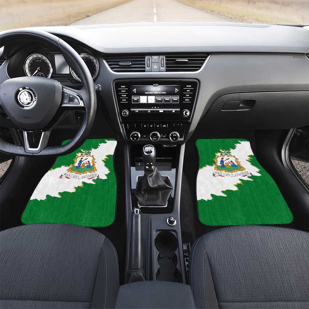 Saint Vincent and the Grenadines Turtle Car Mats with Coat of Arms and Green Heritage Design - Wonder Print Shop