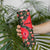 Slovakia Coat of Arms Skinny Tumbler with Red Poppy Flowers and Bold Flag Colors Design - Wonder Print Shop