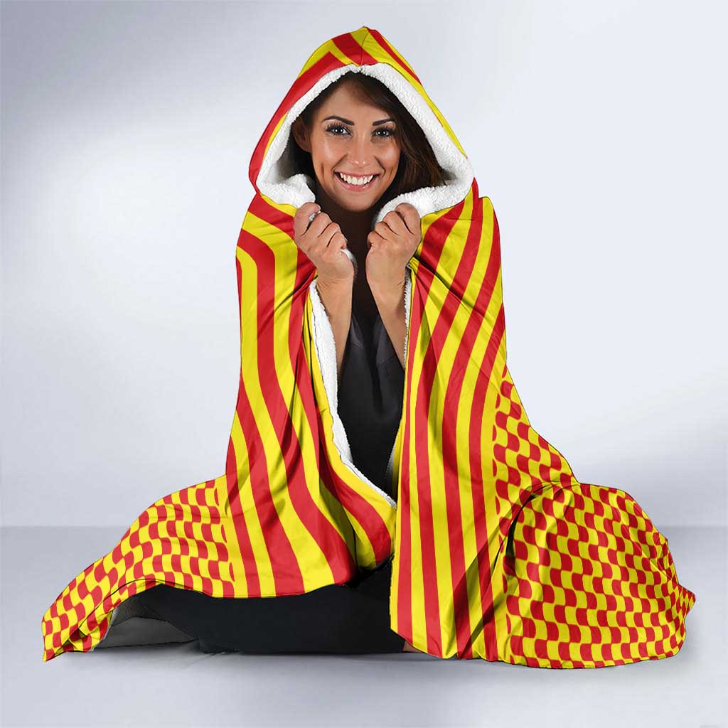 Aragon Flag Hooded Blanket Autonomous Community of Spain - Wonder Print Shop