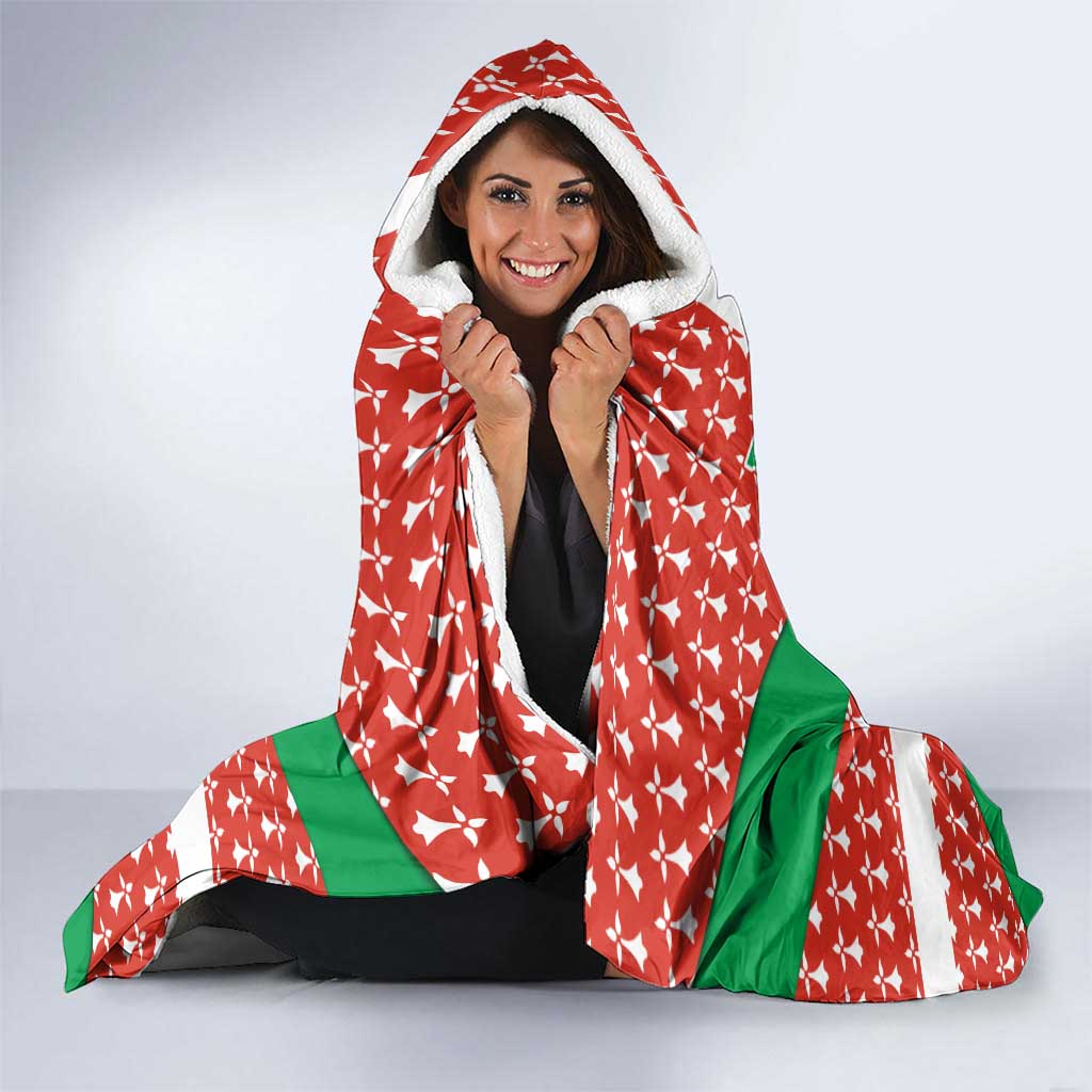 Basque Country Flag Hooded Blanket Autonomous Community of Spain - Wonder Print Shop