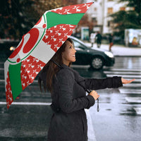 Basque Country Flag Umbrella Autonomous Community of Spain - Wonder Print Shop