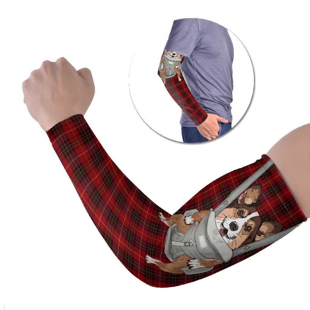 Front Carrier Dog Pembroke Welsh Corgi Christmas Arm Sleeves Xmas Holiday Patterns - Wonder Print Shop