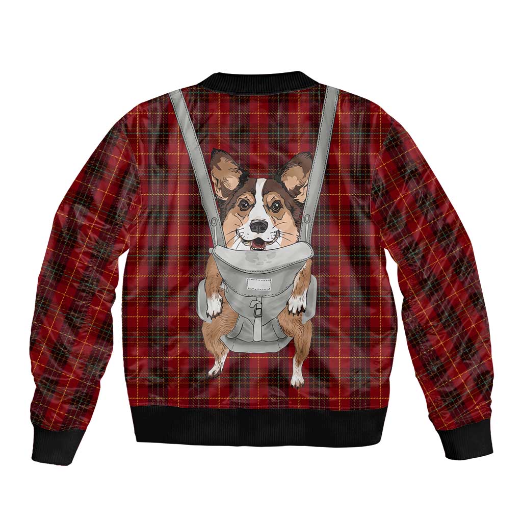 Front Carrier Dog Pembroke Welsh Corgi Christmas Bomber Jacket Xmas Holiday Patterns - Wonder Print Shop