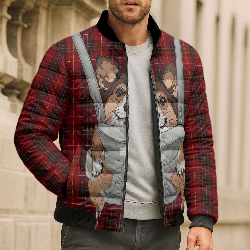 Front Carrier Dog Pembroke Welsh Corgi Christmas Bomber Puffer Jacket Xmas Holiday Patterns - Wonder Print Shop