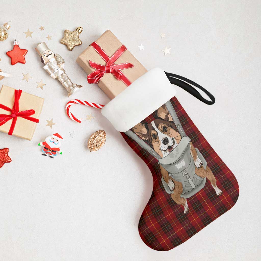 Front Carrier Dog Pembroke Welsh Corgi Christmas Stocking Xmas Holiday Patterns - Wonder Print Shop