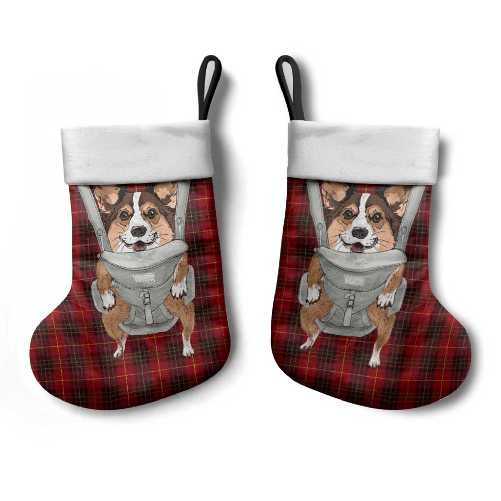 Front Carrier Dog Pembroke Welsh Corgi Christmas Stocking Xmas Holiday Patterns - Wonder Print Shop